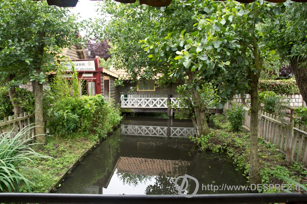 DSC02737